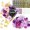 Purple, variant on 61 Pcs Graduation Cap Decorations Kits, Grad Cap Topper Decorations Included Faux Flowers 3D Butterfly Bow Rhinestones Alphabet Letter Stickers for Graduation Cap Topper DIY Craft Art Decor (Pink)