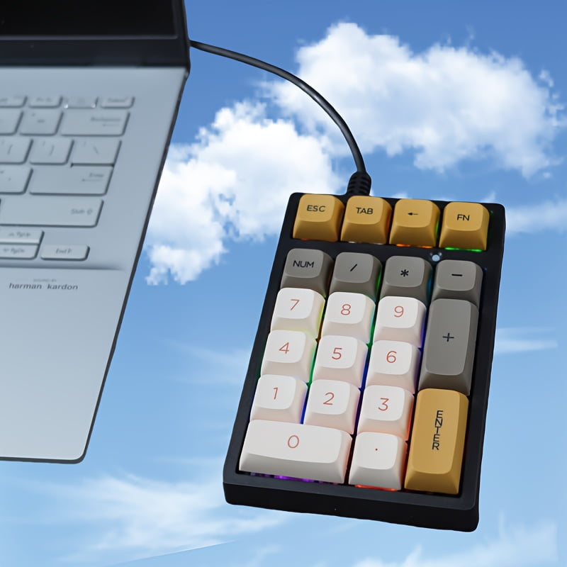 Mechanical Numeric Keypad Blue Switch mini Wired Keyboard Computer Numpad Laptop PC Accounting business workers Number