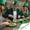 #8, variant on TOPRenddon 20 Pack St. Patrick's Day Clover Themed Party Supplies, Disposable Green Paper Plates Cups Napkins, Festive Table Decoration for Indoor Outdoor Gatherings
