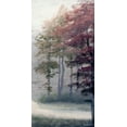 thumbnail image 2 of Marcon, Michael 9x14 White Modern Wood Framed Museum Art Print Titled - Mist October Trees, 2 of 4