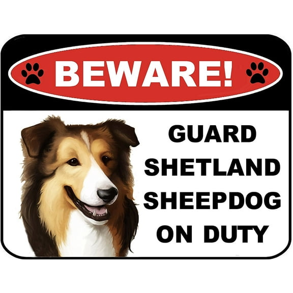 Beware Guard Shetland Sheepdog on Duty (v1) 9 inch x 11.5 inch Laminated Dog Sign