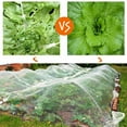 thumbnail image 4 of Almencla Filet Anti-Insectes pour Jardin, Légumes, Plantes, Protection, 4 of 8
