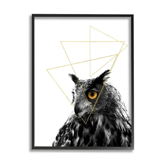 Stupell Industries Contemporary Geometric Owl Shapes Graphic Art Black Framed Art Print Wall Art, Design by K. Kaufman