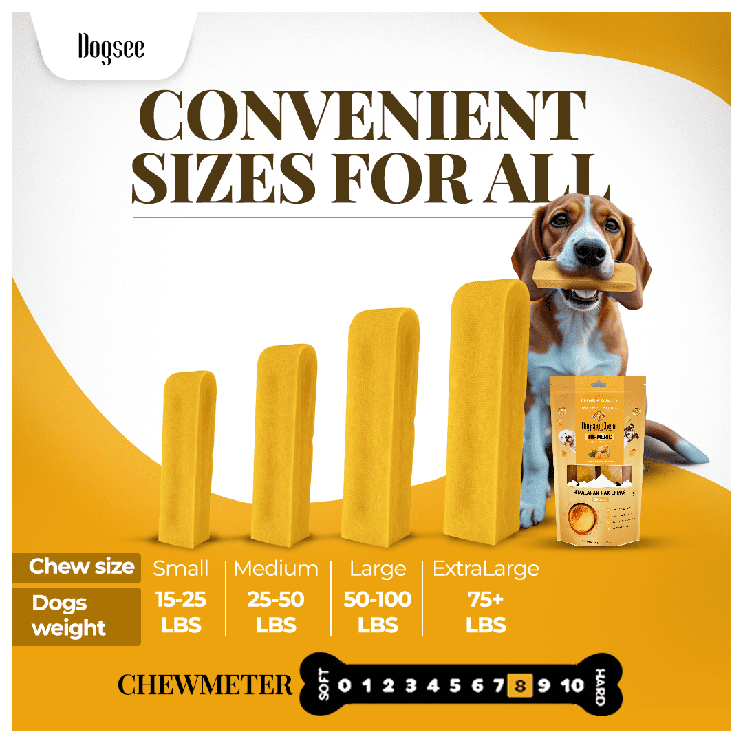 Dogsee Yak Cheese Chews Large Dogs Turmeric Joint Support Dental 1 lb 4 Chews