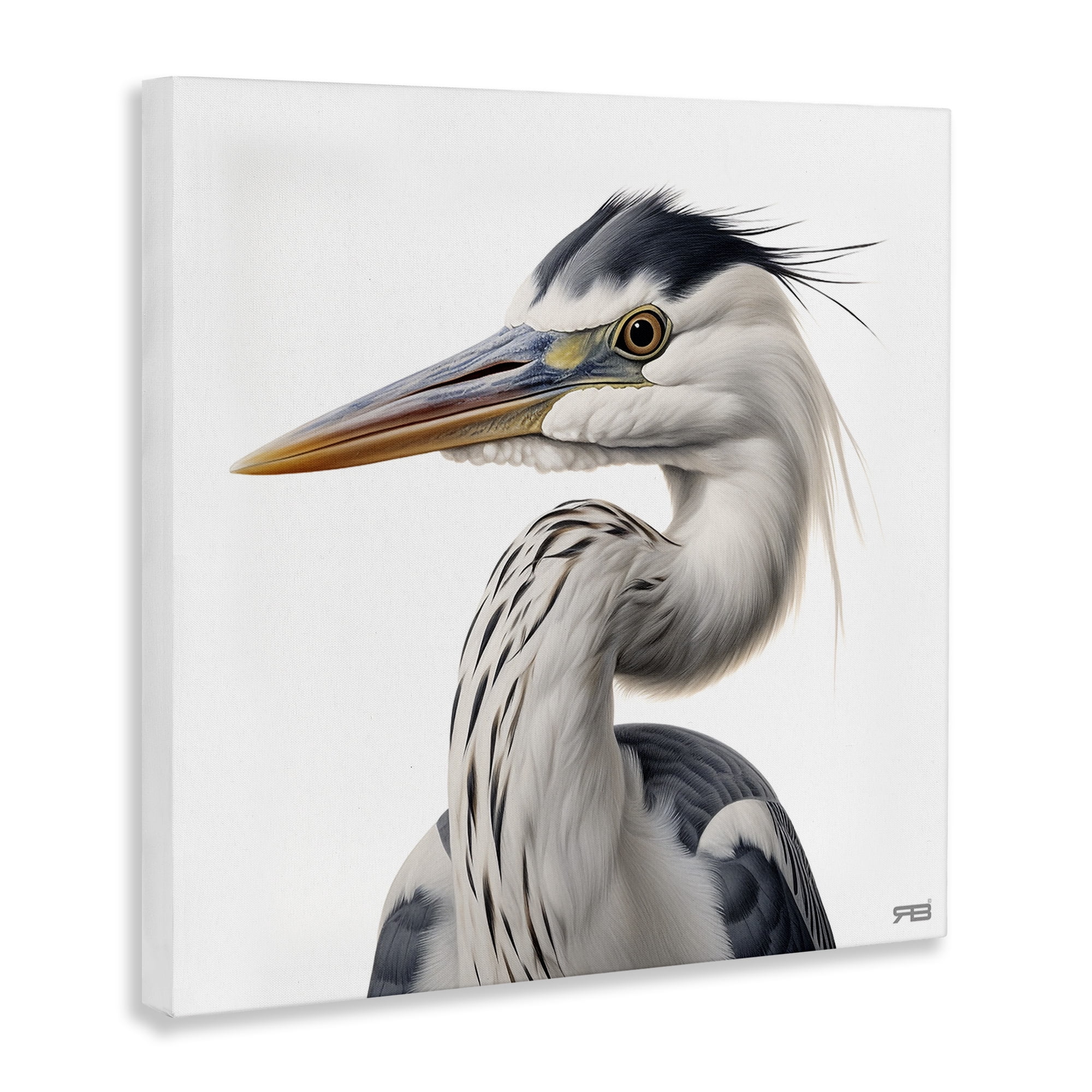 Stupell Industries Stoic Heron Looking Left Animals & Insects Painting Gallery Wrapped Canvas Art Print Wall Art, 24 x 24