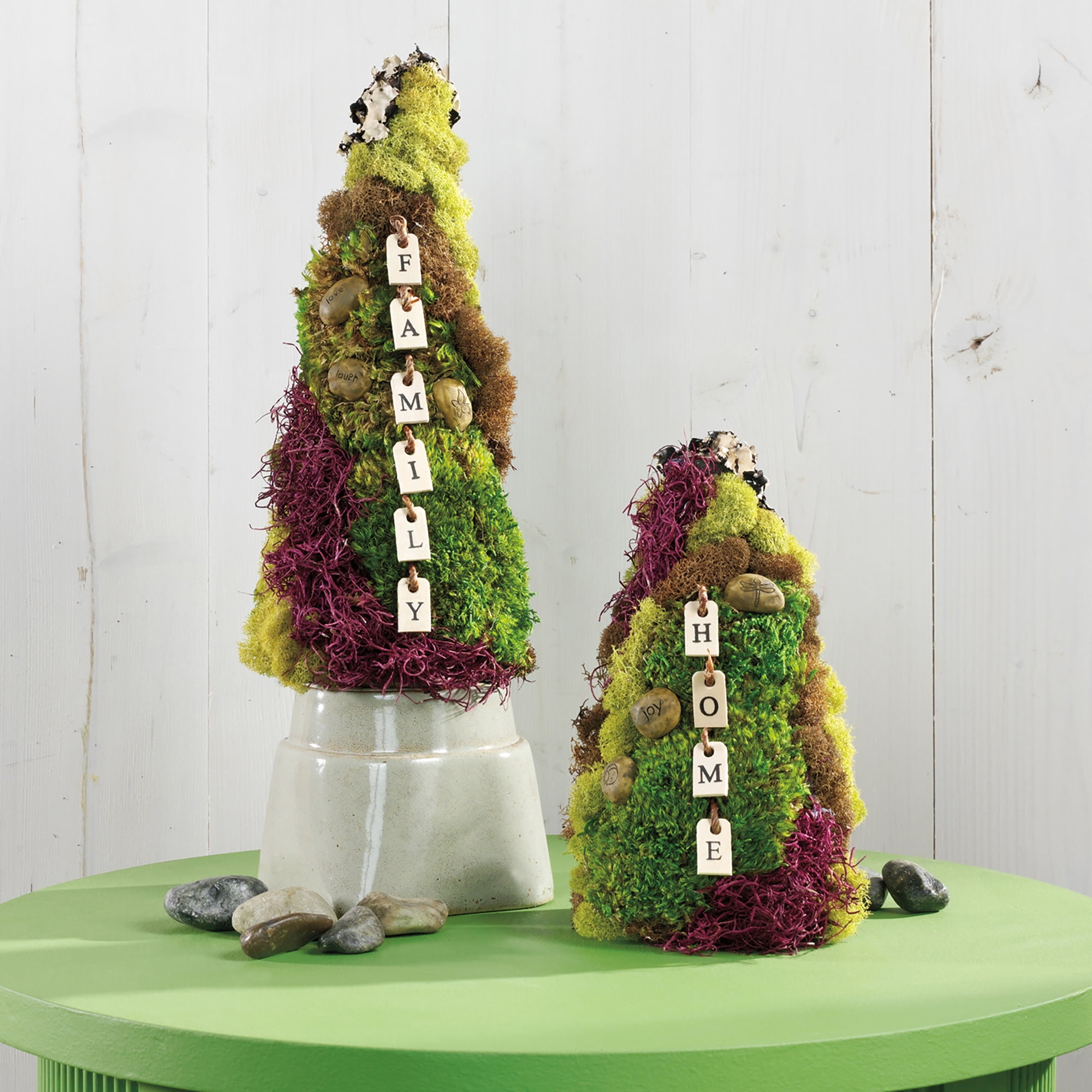 (2 pack) FloraCraft Floral Desert DryFōM Cone 3.7 Inch x 8.9 Inch Green