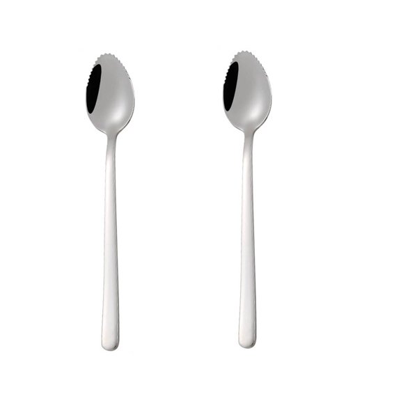 ACDANC 2Pcs Grapefruit Spoons Jagged Edge Grapefruit Spoon Polishing Process Dessert Spoon Style 1