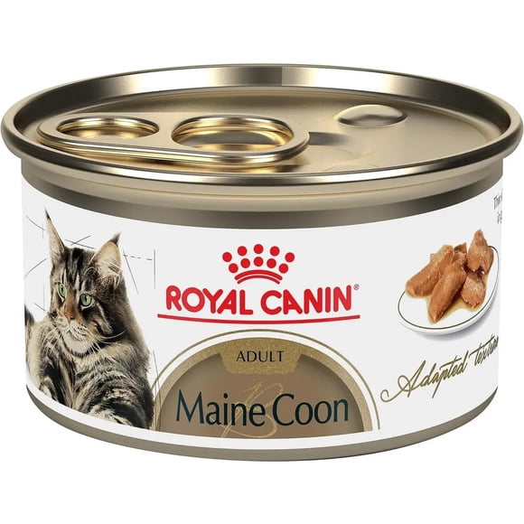 Royal Canin Alimento gatos Maine Coon Thin Slices Gravy 85g