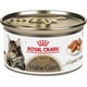 thumbnail image 1 of Royal Canin Alimento gatos Maine Coon Thin Slices Gravy 24pz, 1 of 2