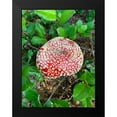 thumbnail image 2 of Grayscale 12x14 Black Modern Framed Museum Art Print Titled - Red Mushroom I, 2 of 5