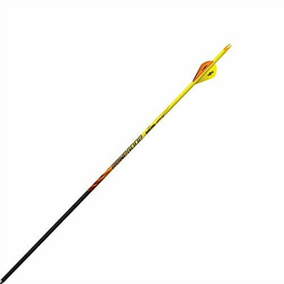 Black Eagle Renegade Fletched Arrows - 6-Pack-350 Spine -.005  /-