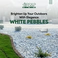 thumbnail image 5 of White Pebbles - 3 to 5 inches - 1000-LBS, 5 of 6