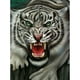 thumbnail image 1 of Pintura de diamante (DE5265) 5D DIY Tiger Animal Full Round Rhinestone Kit Wall Picture 30x40cm FLhrweasw Nuevo, 1 of 1