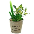 thumbnail image 1 of Plantas en maceta suculentas artificiales realistas que se utilizan para decorar su hogar u oficina., 1 of 5
