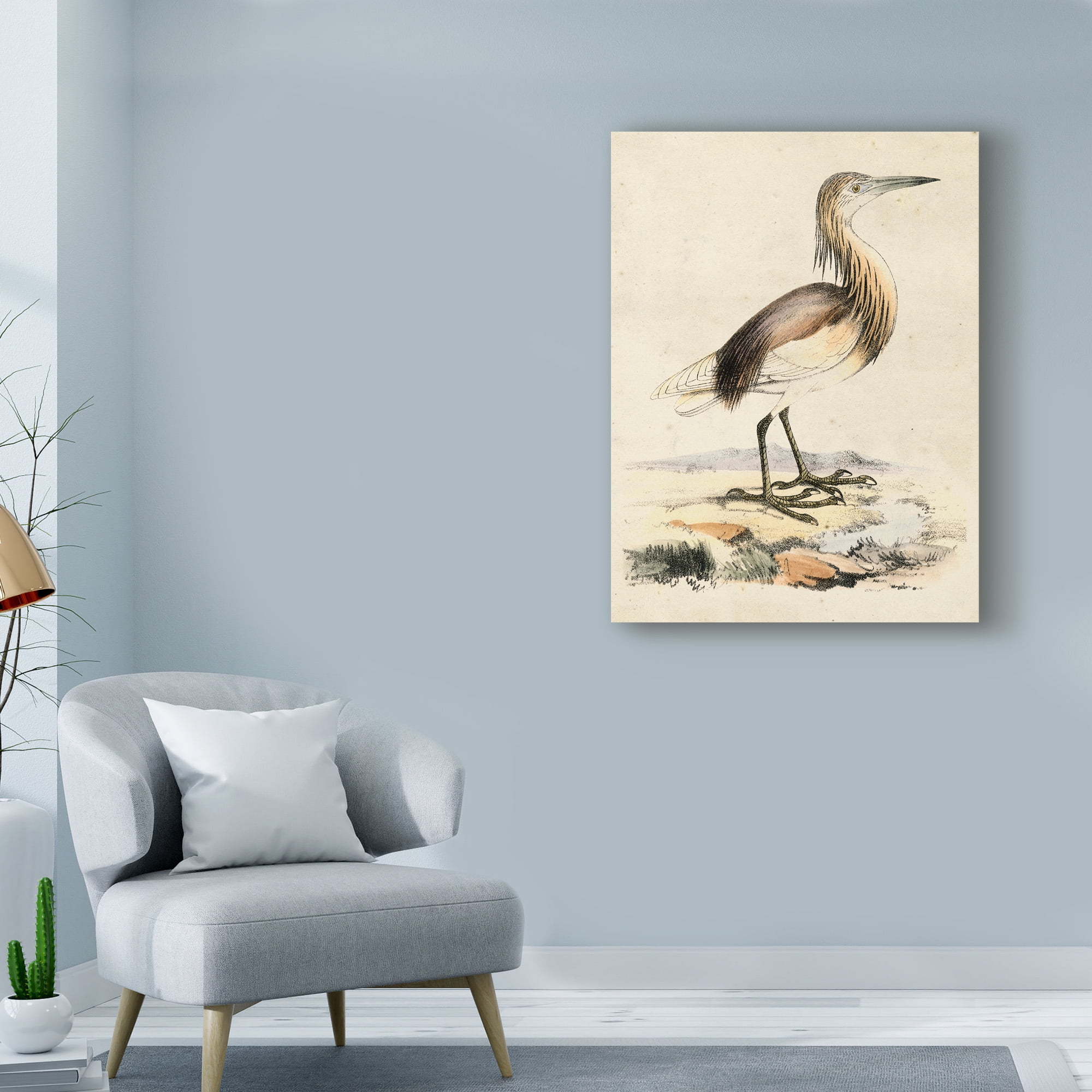 Trademark Fine Art 'Antique Heron I' Canvas Art by Unknown