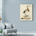 thumbnail image 3 of Trademark Fine Art 'Antique Heron I' Canvas Art by Unknown, 3 of 4