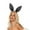 Black, variant on Bunny Ears Adult Costume Headband | Pink