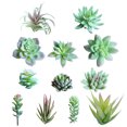 thumbnail image 4 of Gwong Decoración hogareña 1 unid flor artificial mini suculento planta boda fiesta de boda escritorio bonsais decoración Gwong 21026597, 4 of 7