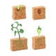 thumbnail image 5 of Ciclo de vida de la planta de judía verde, regalo Montessori, juguete de desarrollo, modelo de ciclo de vida de planta agrícola, figura para niños en, 5 of 10