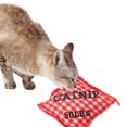 thumbnail image 1 of Pet Chew Toy Grid Creative Cat Bite Toy Pet Chew Toy Catnip Toy, 1 of 4