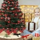 thumbnail image 1 of pstuiky Adornos, falda de árbol de tela a cuadros, cojín para árbol de Navidad, árbol pequeño, falda para árbol., 1 of 9