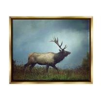 Stupell Industries Serene Elk in Nighttime Clearing Wildlife Photography Photograph Metallic Gold Floating Framed Canvas Print Wall Art, Design by Carrie Ann Grippo-Pike
