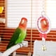 thumbnail image 2 of Juguete para loros, columpio, espejo de cuero colgante, juguete para pájaros, espejo para pájaros, calidad superior, 2 of 9