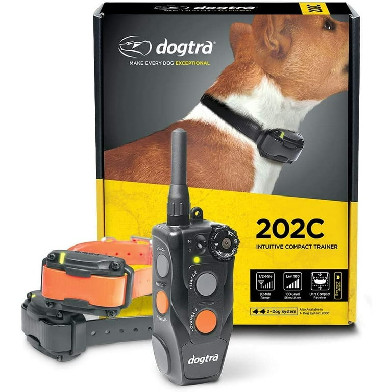 Training collar near me cheap