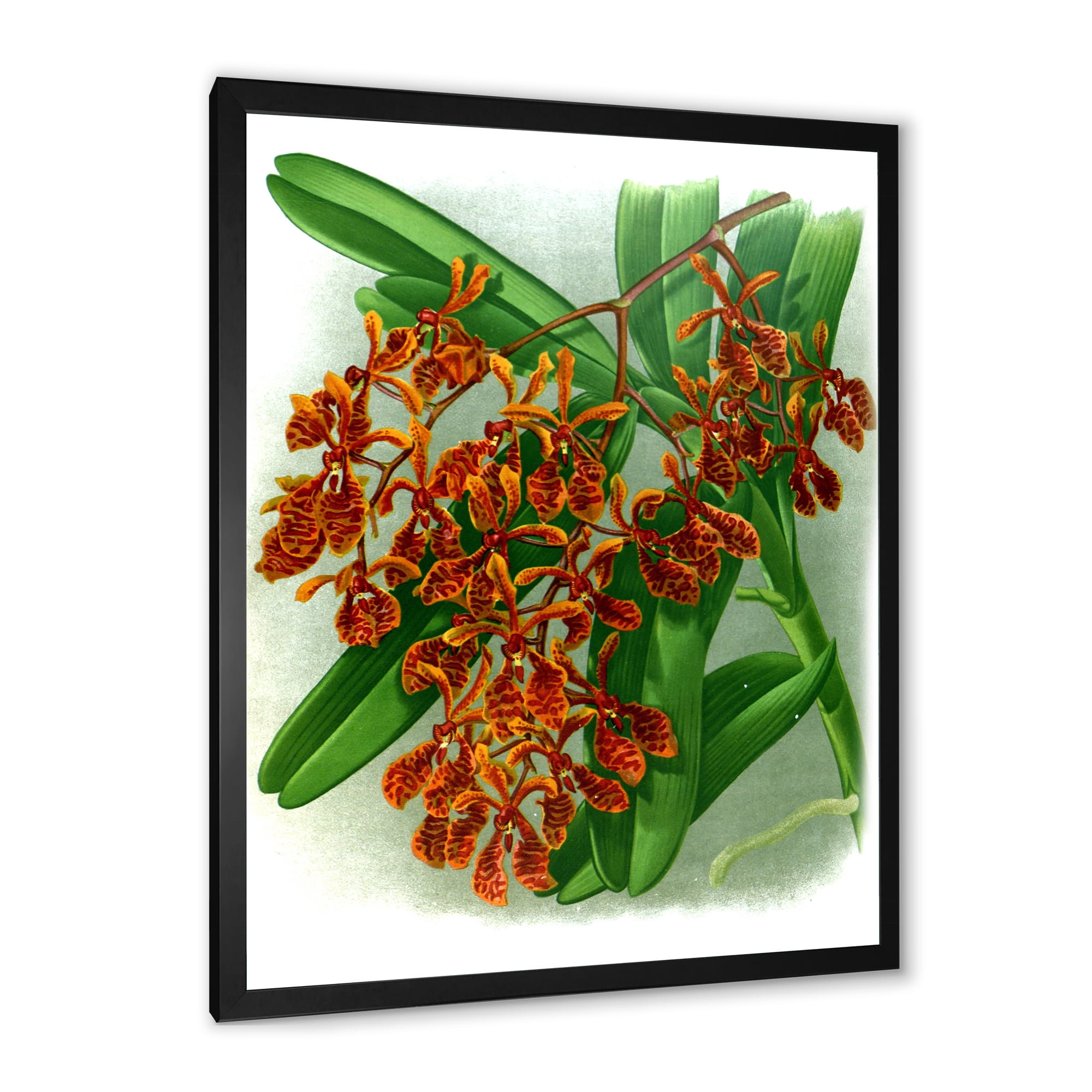 Designart 'Flowers Retro II' Farmhouse Framed Art Print