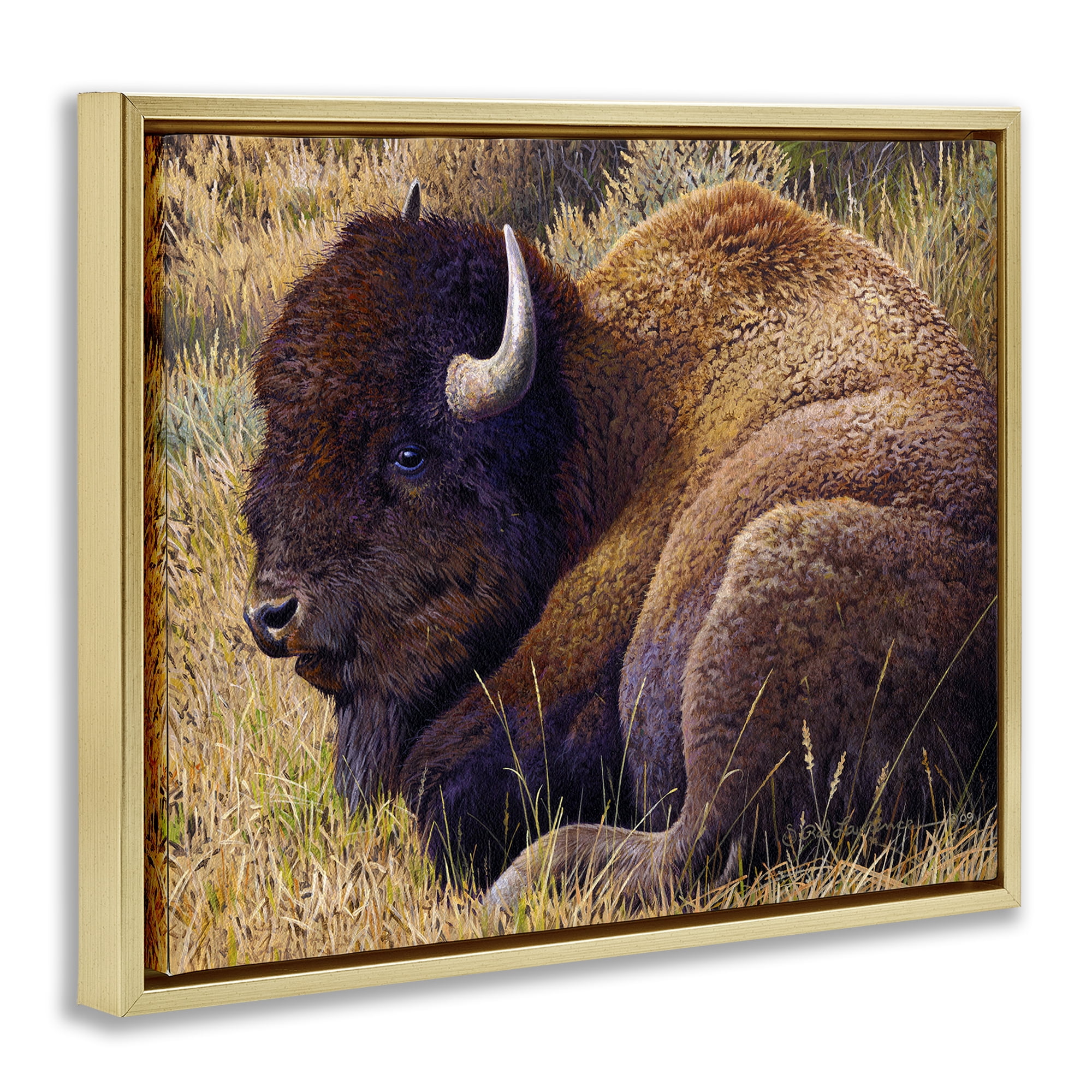 Stupell Industries Relaxing Young Bison Animals Painting Gold Floater Framed Canvas Art Print Wall Art, 21 x 17