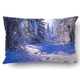 thumbnail image 1 of BOSDECO Winter Snow Forest Trees Landscape Pillowcase Pillow Cushion Cover 20x30 inch, 1 of 1