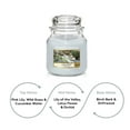 thumbnail image 3 of Yankee Candle Water Garden Small Original Jar Candle 3.7oz, 3 of 3