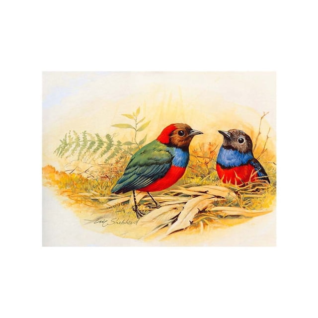 5D Diy cristal Animal pintura pájaro pareja cerdo pavo real redondo diamantes de imitación artesanía diamante punto de cruz decoración de la habitación seitruly JJ15249-01