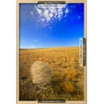 thumbnail image 3 of Tumbleweed Rolling over Prairie, Framed Art Print Wall Art by Momatiuk  Eastcott Sold by Art.Com, 3 of 6