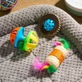 thumbnail image 2 of Vibrant Life Rattle, Roll and Scratch Cat Toys, 3 Count, 2 of 8