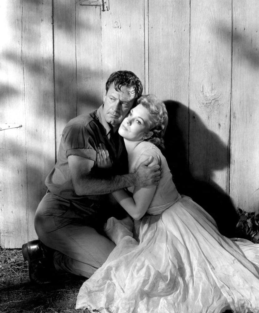 Picnic William Holden Kim Novak 1955 Photo Print