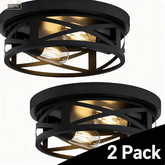 LapEasy Flush Mount Ceiling Light Fixture, 2-Light Ceiling Light Fixture, 10.63 inch Black Metal Cage Ceiling Lights for Kitchen, Farmhouse, Hallway, Bedroom, Bathroom