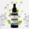 Secrets Of The Tribe Feverfew Organic Tincture Dietary Supplement, Natural Herbal Extract for Nervous System Balance, Certified Organic Feverfew (Tanacetum parthenium) Dried Herb, Alcohol-Free 2 oz