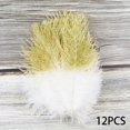 thumbnail image 3 of 12 piezas de plumas de naturales artesanales de 6-8 pulgadas (15-20 cm) para de decoración para hogar perfecl  Manualidades Plumas, 3 of 8