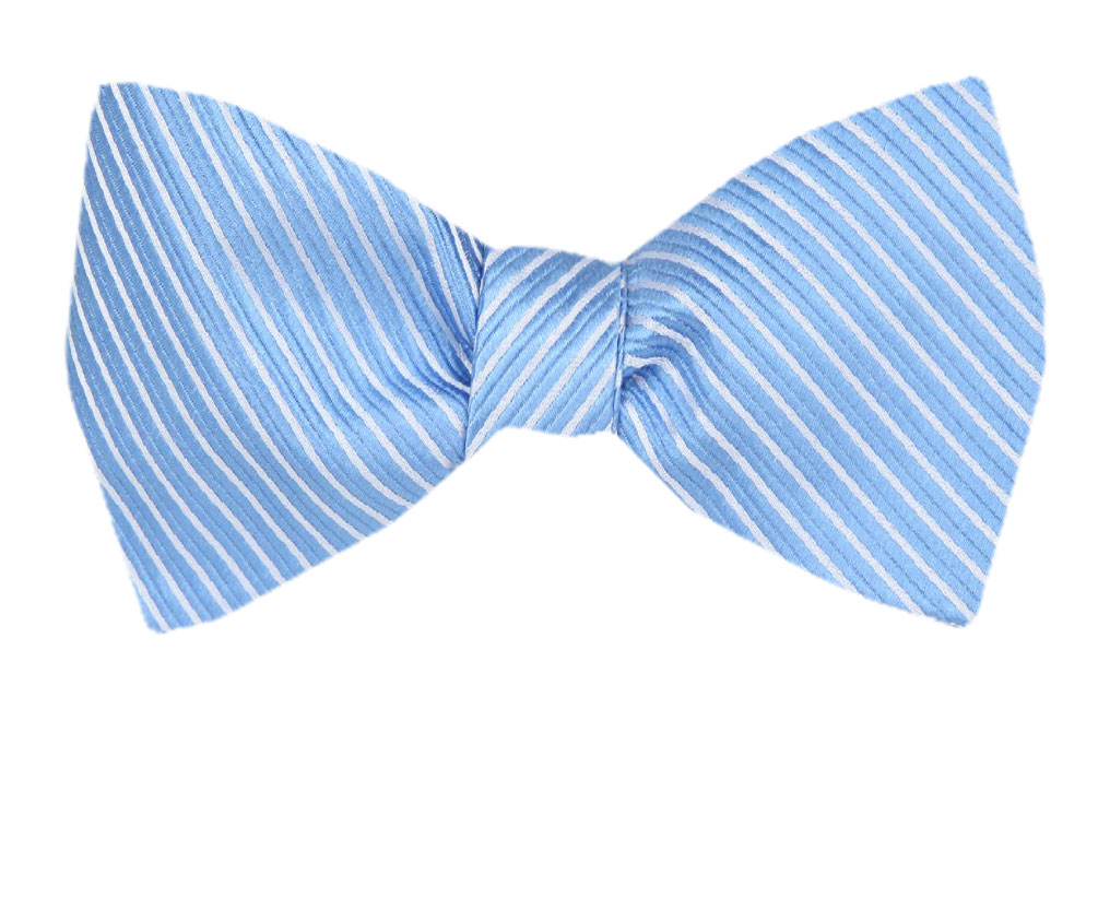 FBTZ847 Mens Blue Silk Self Tie Bow Tie
