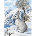 thumbnail image 1 of Carolines Treasures ASA2037GF Mountain Hare White Rabbit Flag Garden Size, 1 of 3