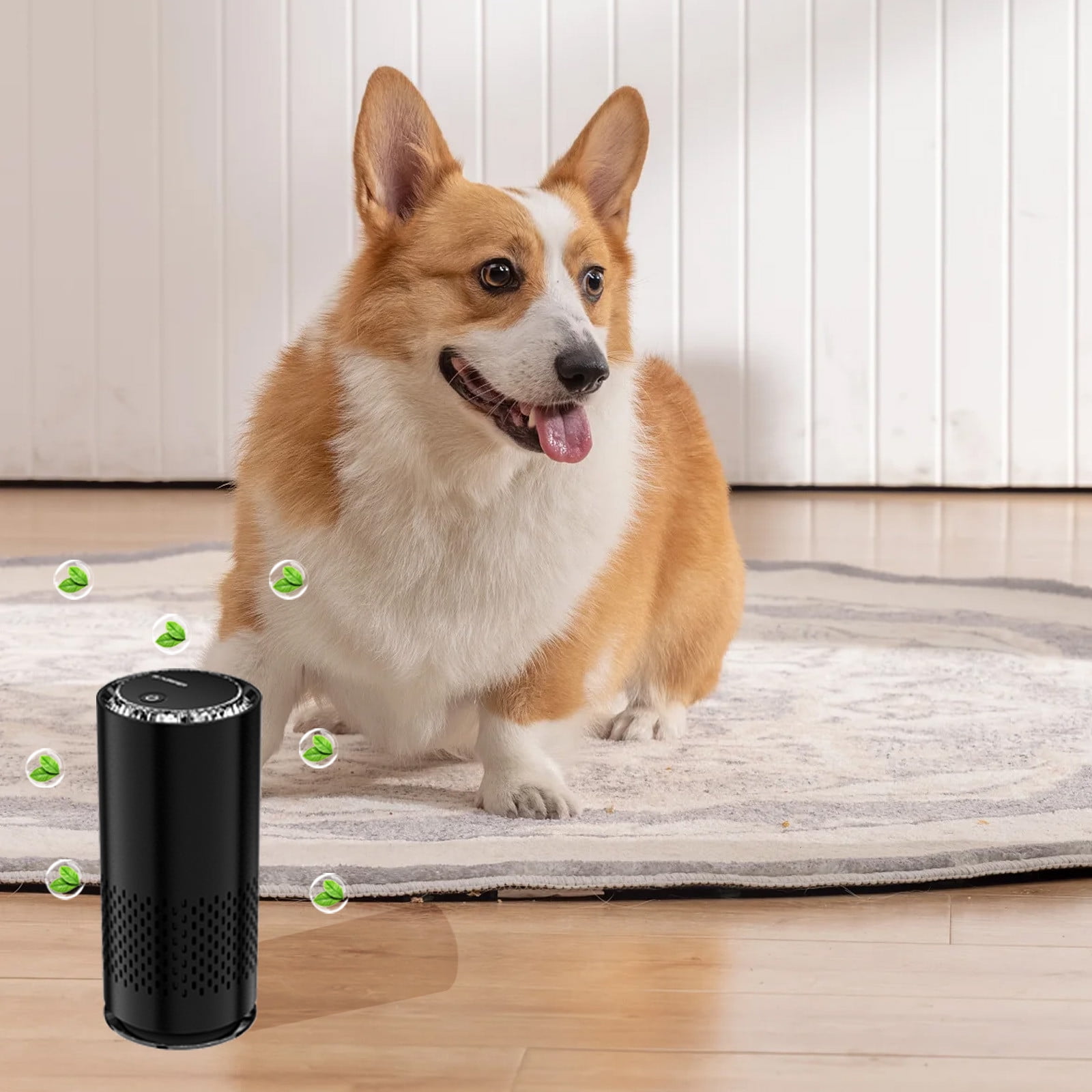Purifiers For Home Pet Odor Eliminator With Activated Carbon Filter Portable 6.1 in x 3.34 in x 2.79 in White Plastic Unit