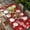 Red White Green, variant on Red Snowman Christmas Table Cloths for 3 Foot Rectangle Tables, Xmas Snowflake Botanical Patio Waterproof Elastic Fitted Tablecloths, Washable Rectangular Table Cover for Camping