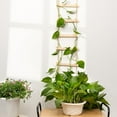 thumbnail image 4 of 2PCS Chain Trellis for Climbing Plants - Natural Wood Indoor Plant Support, Durable 6.5 Inch by 4 Feet Design, Perfect for Pothos, Ivy, and Vines with Easy Installation Hook, 4 of 9
