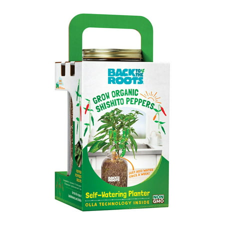 Back to the Roots 25300 Self-Watering Planter Shishito Peppers Grow