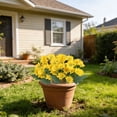 thumbnail image 5 of 5 Bundles Artificial Mums for Outdoors, Realistic Fake Mums Faux Silk Daisy, UV Resistant No Fade Faux Mums for Home Patio Porch Garden Yard Decor, Fall Flowers, Outdoor Fall Decor, 5 of 9