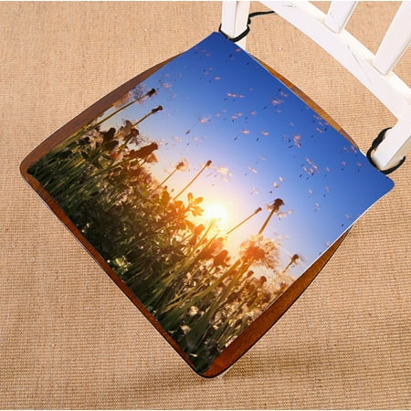 

PHFZK Blue Sky Scenery Chair Pad Fluffy Dandelions with Flying Seeds at Sunset Seat Cushion Chair Cushion Floor Cushion Two Sides Size 20x20 inches