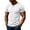 #White, variant on DPTALR Men's Short Sleeve Henley T-Shirt Casual Button Crew Neck Solid Color Tee,Army Green,Big and Tall Men L