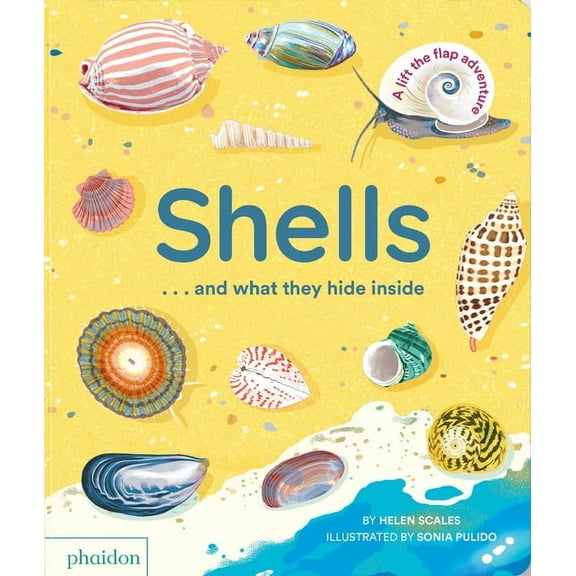 Shells... and What They Hide Inside: A Lift-The-Flap Adventure, (Board Book)