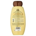 thumbnail image 2 of Garnier Whole Blends Nourishing Shampoo, Avocado Oil & Shea Butter Extracts 12.50 oz (Pack of 2), 2 of 2